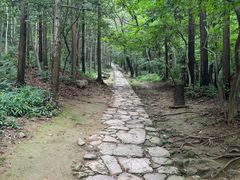 -冶父山国家森林公园