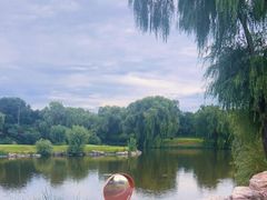 -万柳高尔夫俱乐部