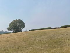 -上海佘山世茂艾美酒店