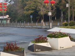 -邓氏兔头