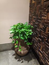 -禾颜社·精致美容