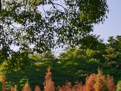 -广州市帽峰山景区