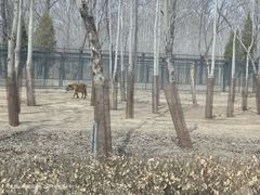 -秦皇岛野生动物园