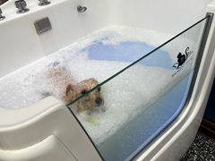 -FAELING PETS美天灵宠物(富力广场店)