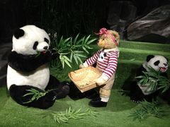 -成都泰迪熊博物馆