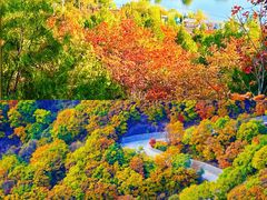 -玉渡山自然风景区