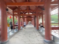 -海角城白海豚浪漫海滩