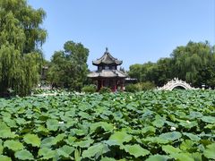 -莲池书院博物馆