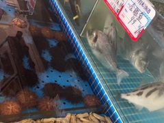 -鲜得莱渔港·小平岛海胆馆(七贤岭店)