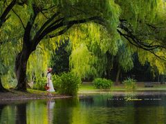 -上海共青森林公园