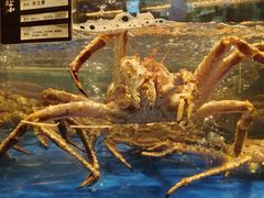 -上和臻品中国菜(花园街店)