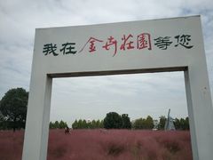 -金卉庄园