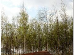 -哈尔滨大剧院