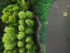 -陈家山荷花公园