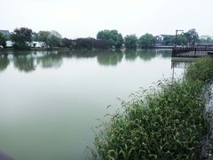 -八大山人梅湖景区