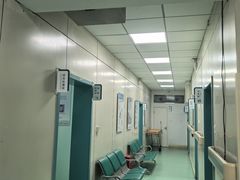 -北京观赏动物医院·24小时大型综合·猫专科·异宠专科