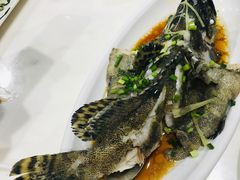 清蒸石斑鱼-南海渔家•海鲜•正宗海南菜(海棠湾店)