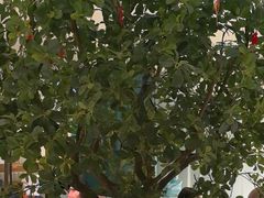 -悦海·家宴·冰花皮皮虾大锅贴(宝龙店)