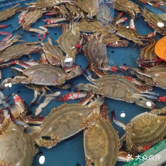 顶上鲜烤肉海鲜火锅自助(大连罗斯福广场店)