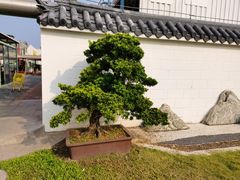 -广州白马服装市场