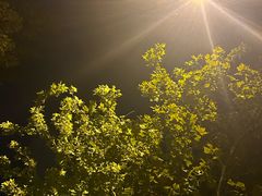-庭院江南菜•烤鸭•非遗传承(丰台总部基地店)