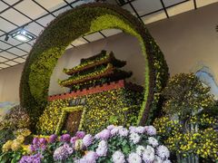 -杭州植物园
