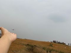 -空港花田景区