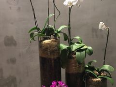 -若蘭慈·无国界素食料理(欢乐海岸店)