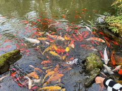 -南通洲际绿博园