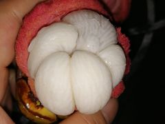 -三亚新鸿港水果一级批发市场