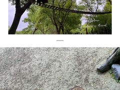 -上海野生动物园