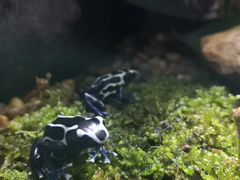-暹罗海洋世界