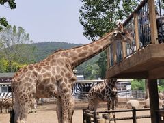 -大连森林动物园