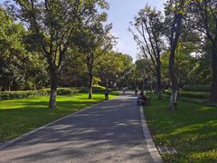 -昆山城市生态森林公园