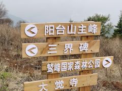 -阳台山自然风景区