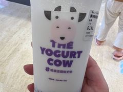 -一只酸奶牛(时代天街A馆店)