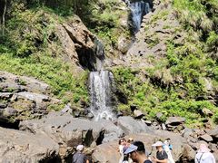 -石台牯牛降景区