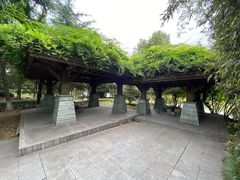 -白塘生态植物园