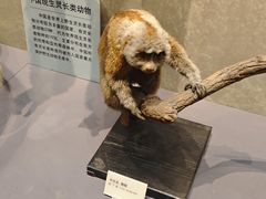 -天津自然博物馆