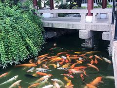 -檀园