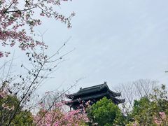 -南山风景名胜区