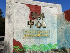 -广东惠东海龟国家级自然保护区