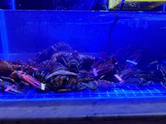 -雍和会海鲜姿造自助(湖东路店)