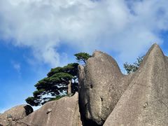 -黄山风景区