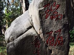 -独树成林