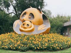 -成都大熊猫繁育研究基地