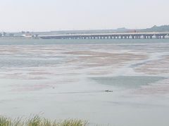 -丁香湖公园