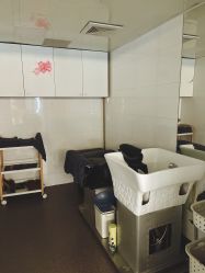 -章光101防脱养发荟