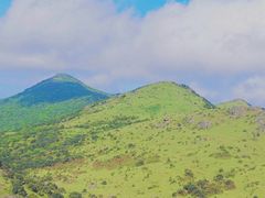 -大姆山草场