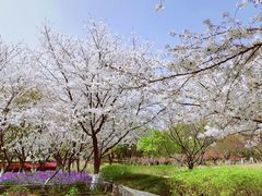 -白塘生态植物园